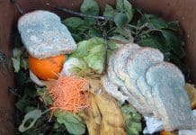 Groene bak in de zomer vaker geleegd