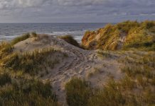 De groeiklas; voor als de brugklas net te vroeg komt