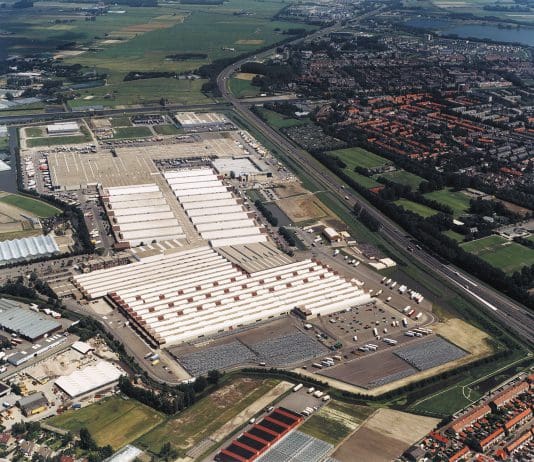 Royal FloraHolland: bloemen- en plantenmarkt blijft stabiel ondanks lagere verkoop