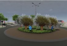 Winnend ontwerp rotonde Torenvlietslaan: Polderlandschap met knotwilgen