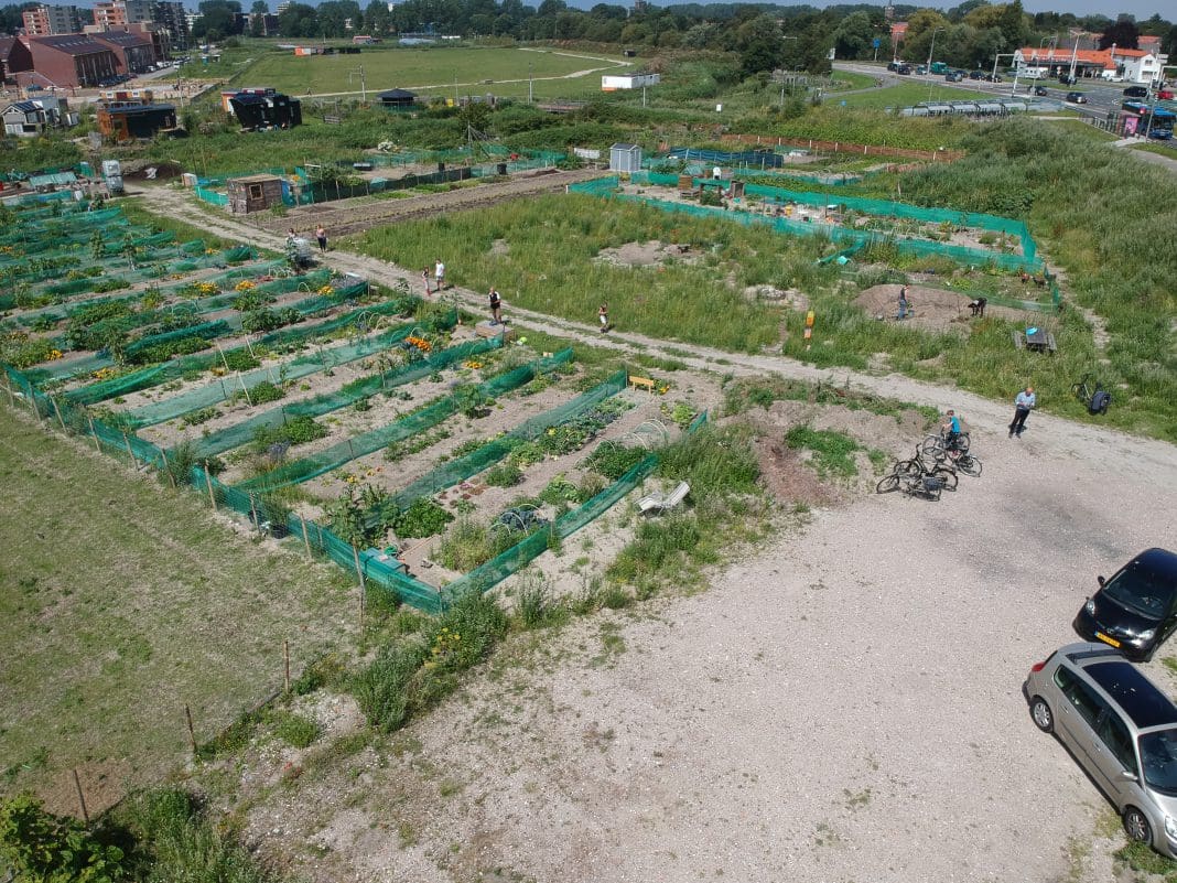 DCIM/100MEDIA/DJI_0215.JPG