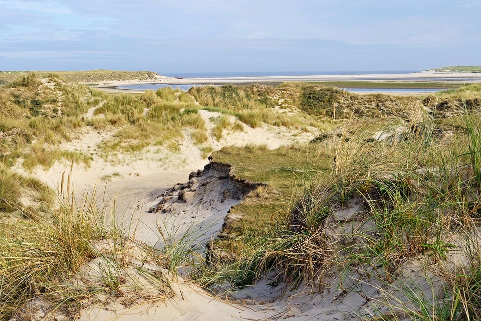 Duinen door Ronald van Wijk