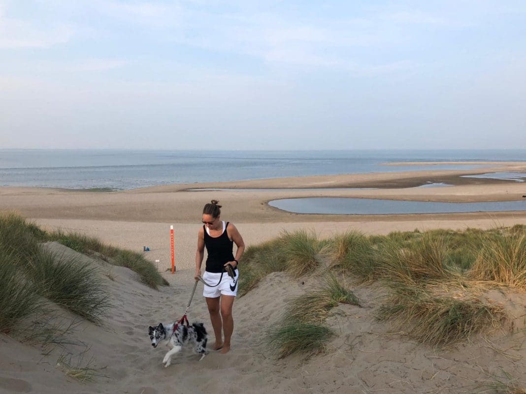 Wandelaar met hond in de duinen door Philo van Lenning.