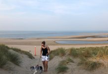 Met je hond naar de kust? Zo houd je rekening met de natuur