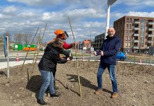 ‘Polderlandschap met knotwilgen’ aangeplant bij rotonde Torenvlietslaan