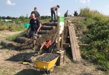 Wandelen over het bloemrijke talud bij Zanderijtuinders 2.0?