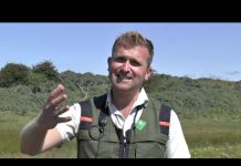 In gesprek met boswachter Joël Haasnoot