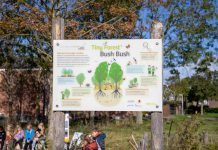 (Her)opening Tiny Forest Rijnsburg