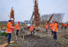 Groencompensatie RijnlandRoute van start