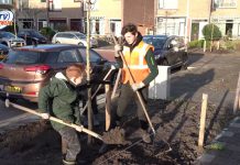 18 nieuwe bomen in Leliestraat tijdens Boomfeestdag