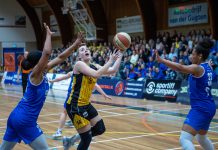 Sportiff Grasshoppers wint overtuigend derde finalewedstrijd van Den Helder
