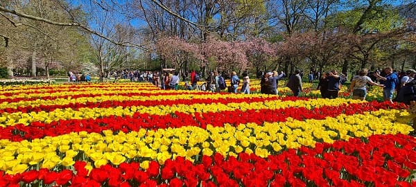 Keukenhof