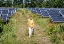 Thea Fierens staat trots op de zonneweide bij onze AWZI in Katwijk, waar we ook de biodiversiteit hebben vergroot.
