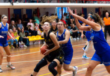 Sportiff Grasshoppers staat op tegen Den Helder Suns