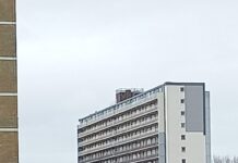 Man (40) aangehouden na vondst overleden vrouw (35)