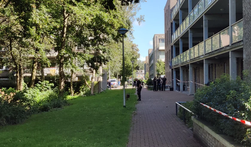 boekhorststraat jpg