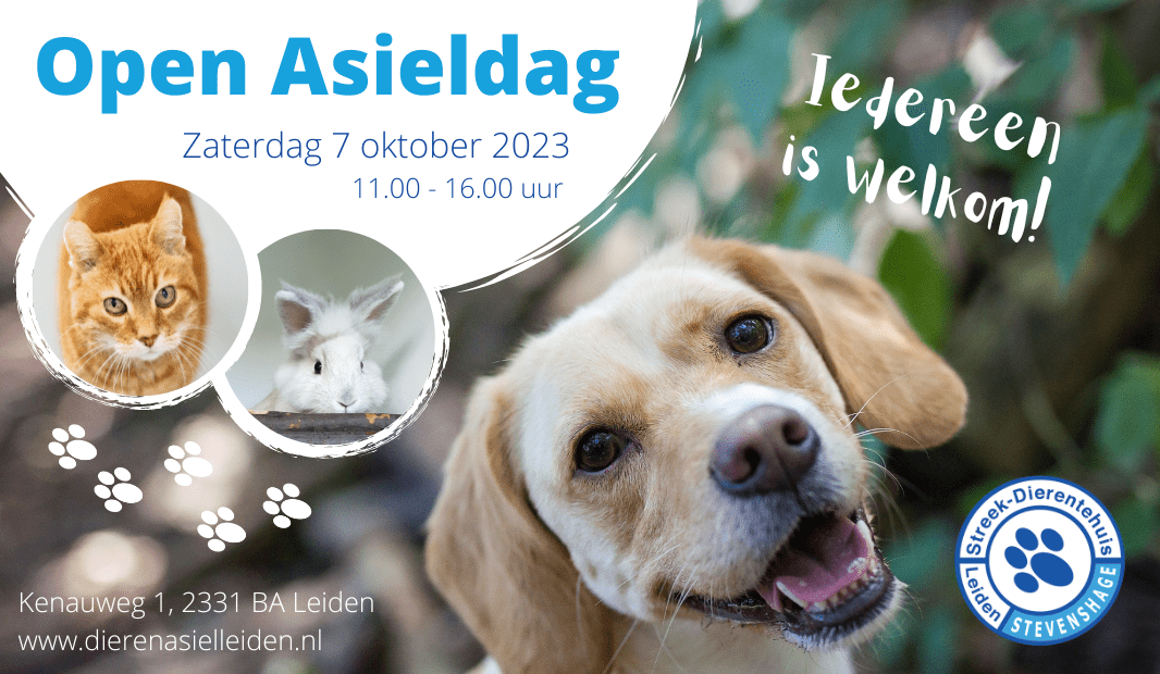 Open-Asieldag-2023-banner-