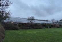 Steiger omgewaaid aan Tortellaan