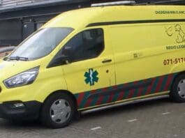College onderzoekt extra steun voor Dierenambulance