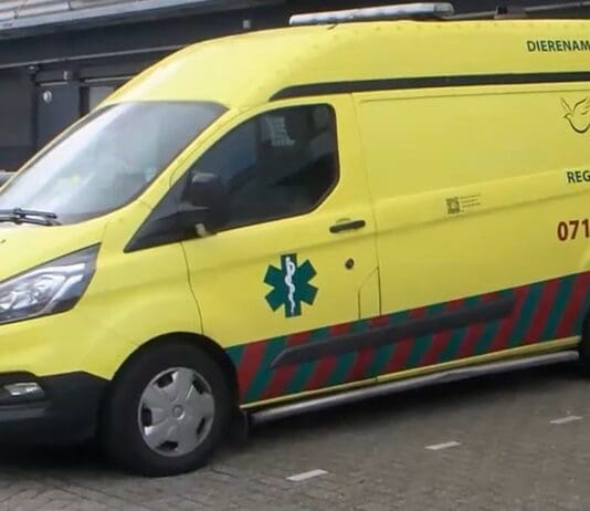 College onderzoekt extra steun voor Dierenambulance