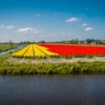Katwijk wil uit samenwerking Duin- en Bollenstreek stappen