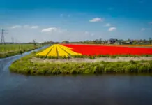 Katwijk wil uit samenwerking Duin- en Bollenstreek stappen