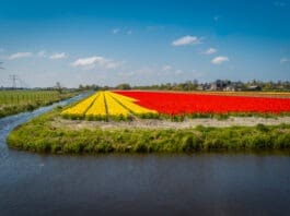 Katwijk wil uit samenwerking Duin- en Bollenstreek stappen