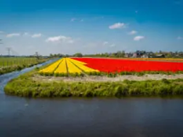 Katwijk wil uit samenwerking Duin- en Bollenstreek stappen