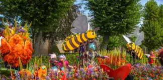 Flower Parade Rijnsburg 2024 – Typisch Nederland