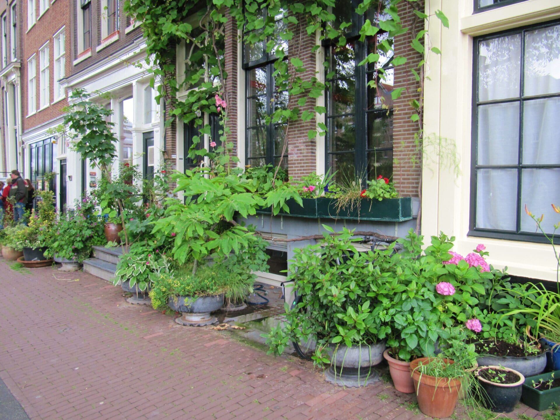 Geveltuin-HR