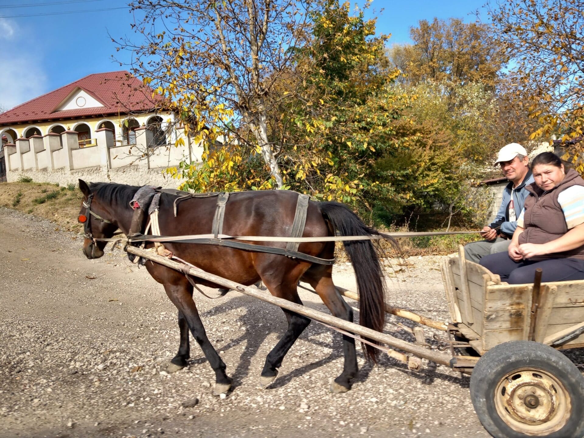 2023-OEKR-Mold-okt-22-27-Paard-en-wagen
