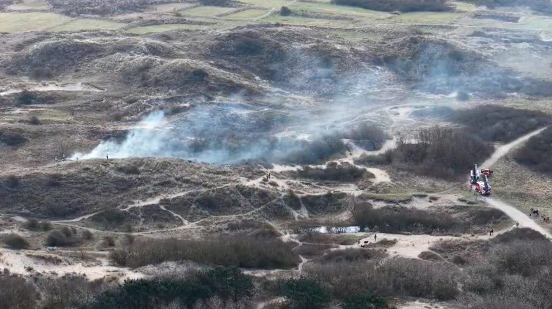 brand duinen