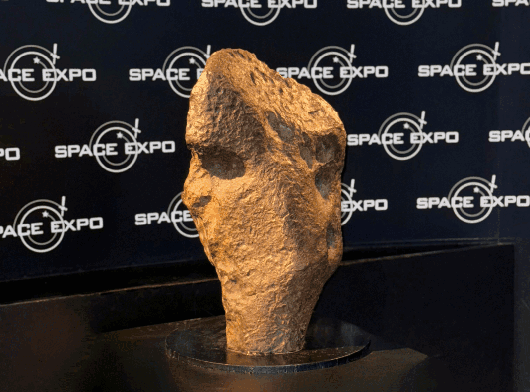 Gibeon meteoriet Space Expo