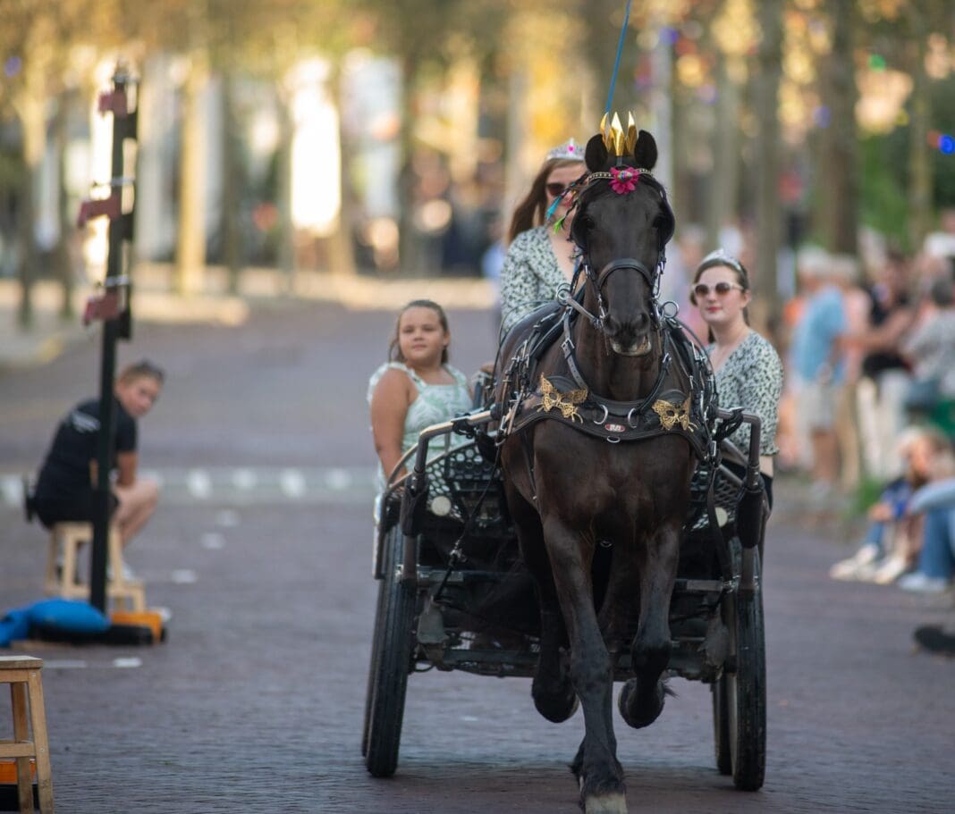 Ringrijden