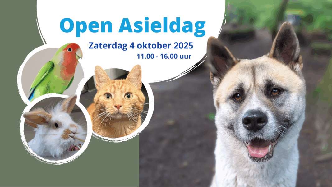 Open Asieldag 2025 banner 1