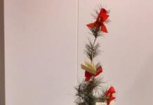 RTV Katwijks ‘Kerstboom waar muziek in zit’