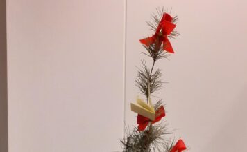 RTV Katwijks ‘Kerstboom waar muziek in zit’