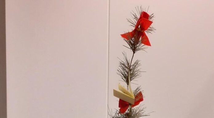 RTV Katwijks ‘Kerstboom waar muziek in zit’