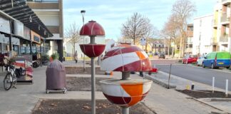 DURF: De Rijnsburgse bollen zijn weer thuis