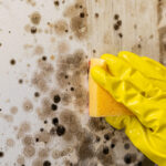 GGD start campagne tegen schimmel in huis