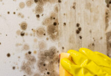 GGD start campagne tegen schimmel in huis