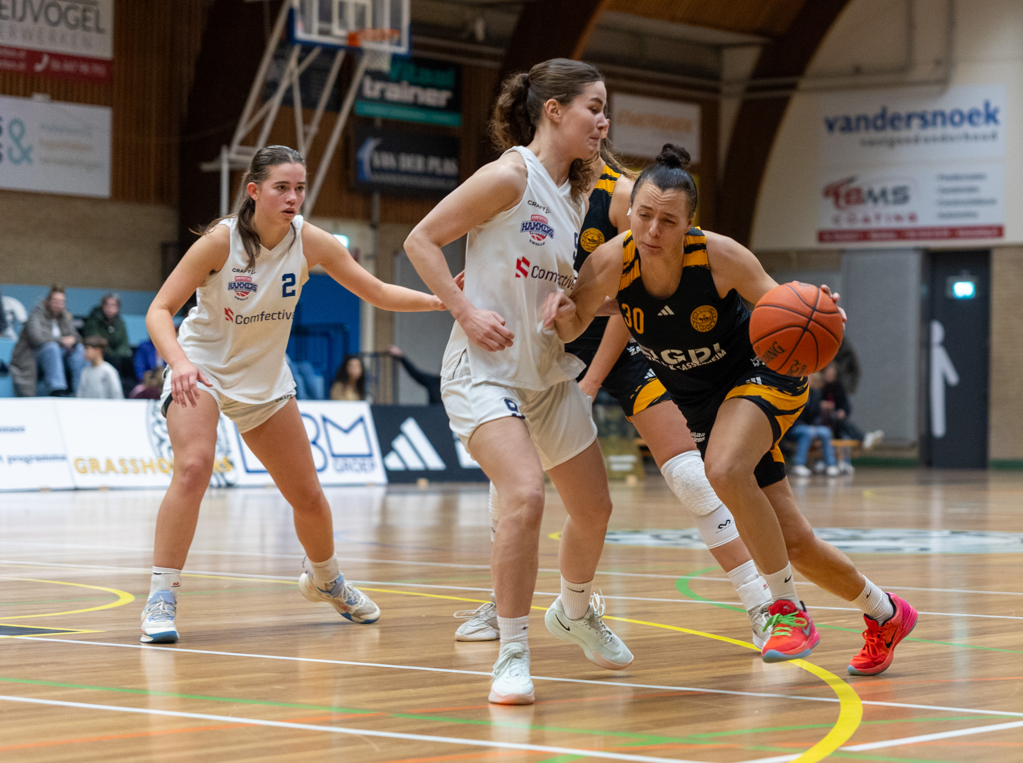 GBI van Dijk Grasshoppers boekt ruime zege op Landstede Hammers