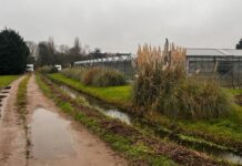 Rijke visserijfamilie dwarsboomt plan politiek: nieuw park op losse schroeven