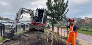Nieuw groen langs de busbaan in de Duinvallei
