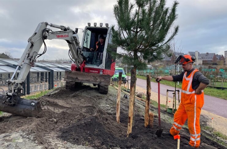 Nieuw groen langs de busbaan in de Duinvallei
