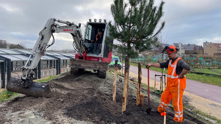 Nieuw groen langs de busbaan in de Duinvallei