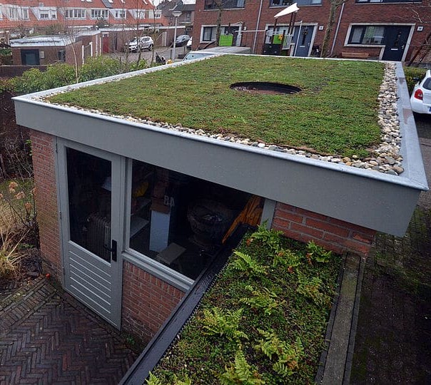 Gemeente verhoogt subsidie voor groene daken