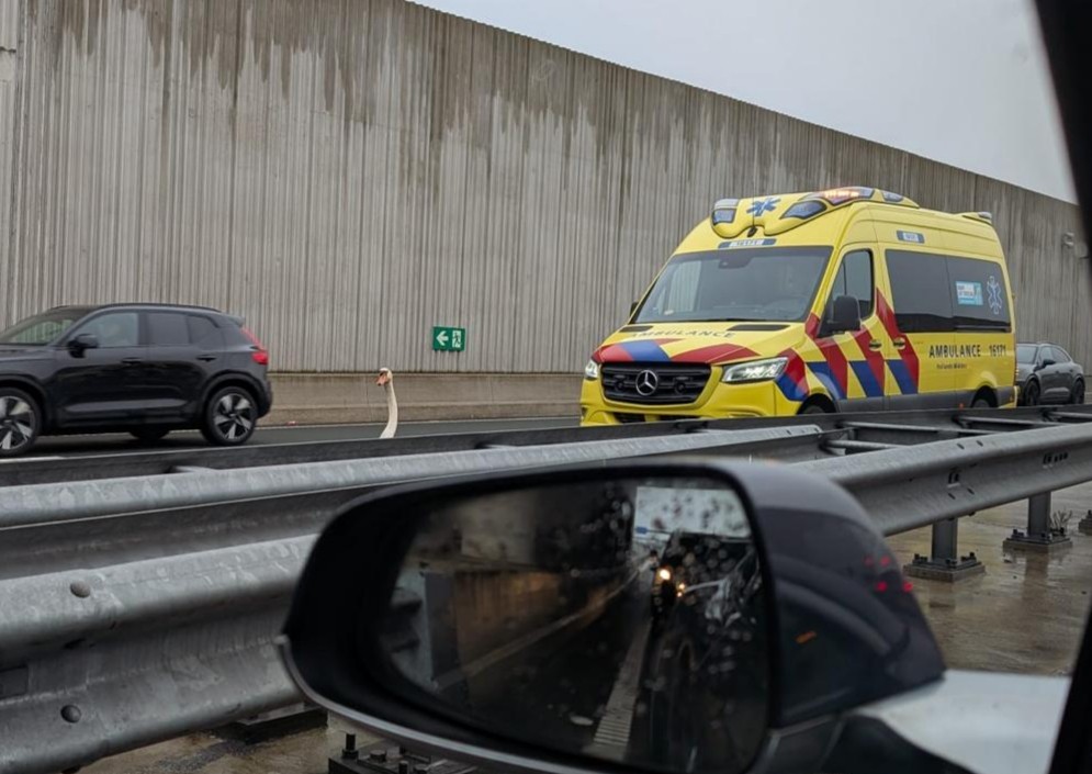 Verkeer Corbulotunnel stilgelegd vanwege zwaan