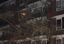 Boom van ruim 15 meter valt tegen flat Hoorneslaan