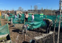 Kinderen maken schooltuinen klaar voor nieuw seizoen